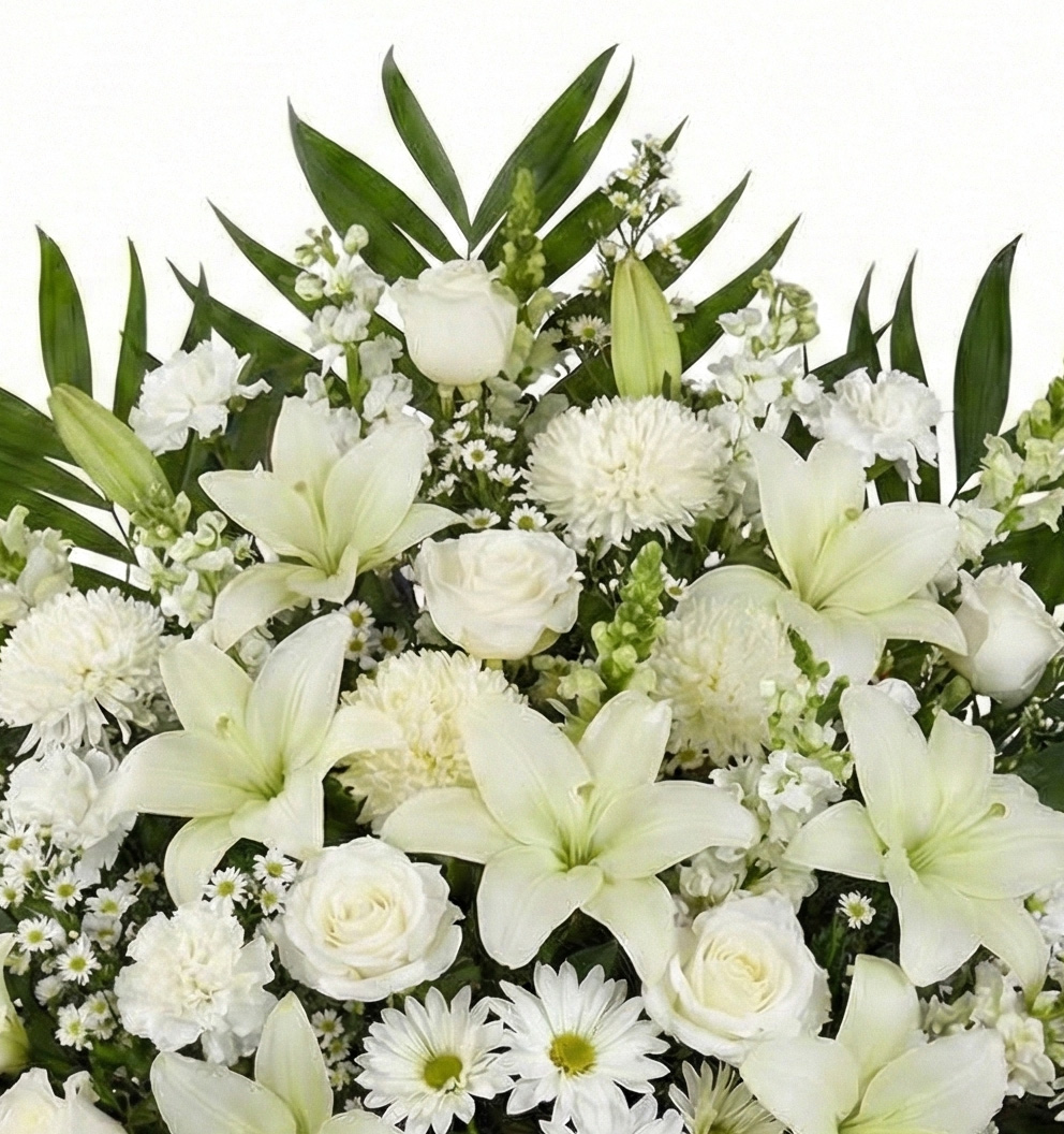 Tranquil Skies Tribute - Image 3