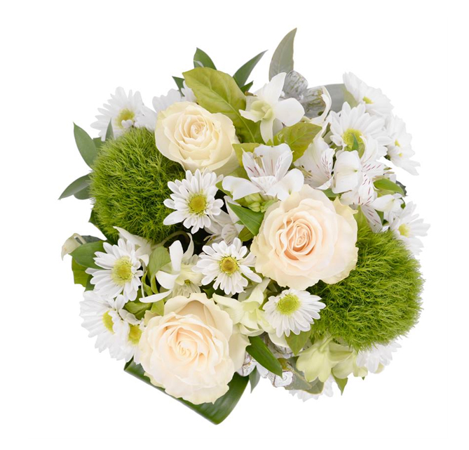 Classic White - Image 2