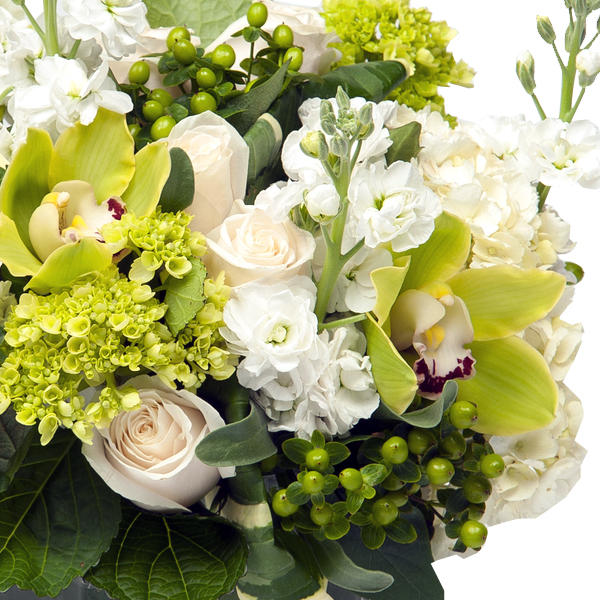 Green Forest - Image 2