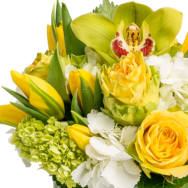 Yellow Serenity - Image 2