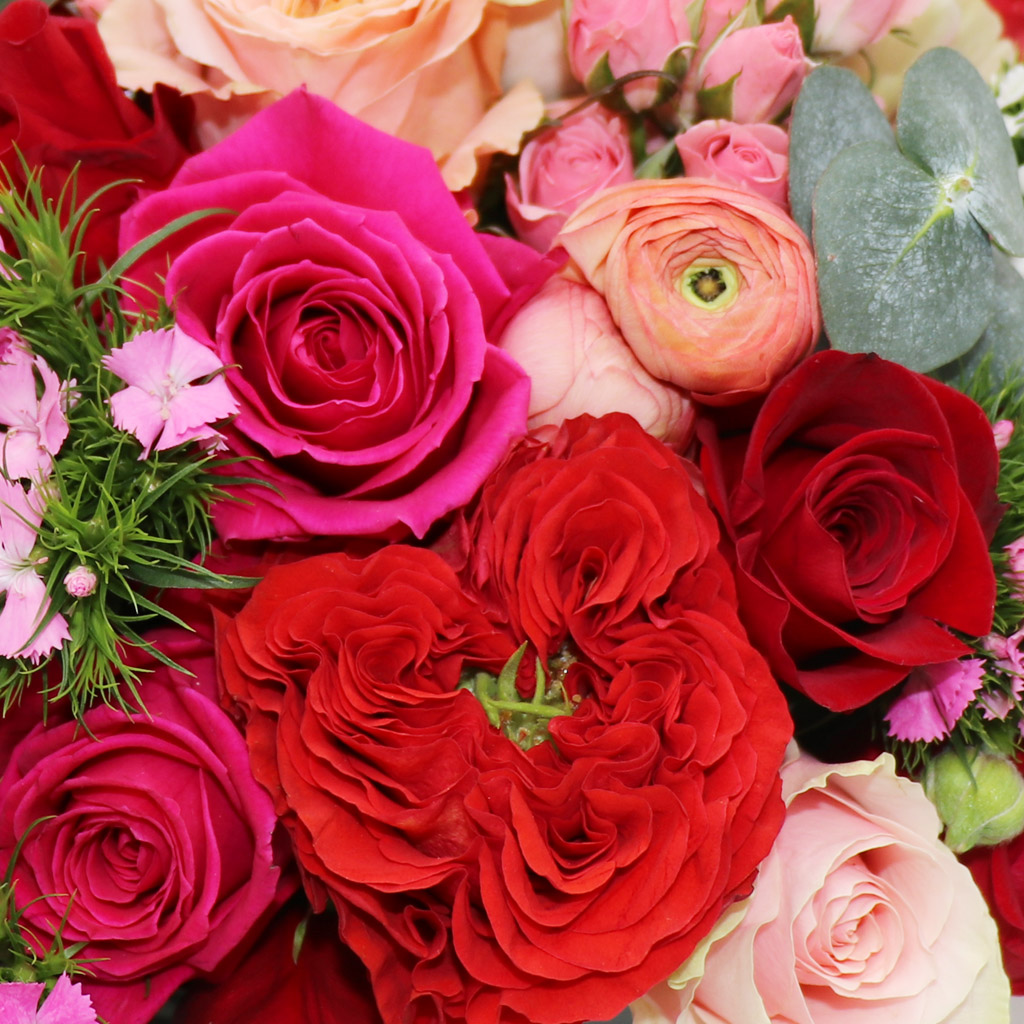 Delight Passion - Image 3