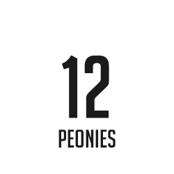 12 Peonies