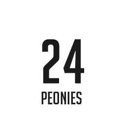 24 Peonies