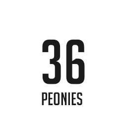 36 Peonies