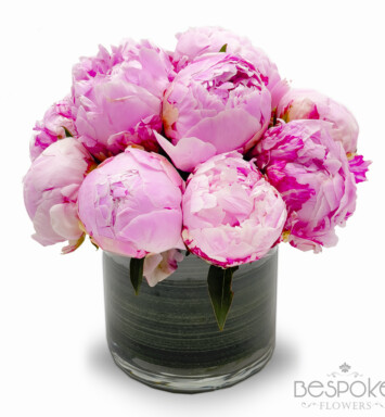 Peonies Galore