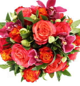 “Same day flowers Sag Harbor NY”