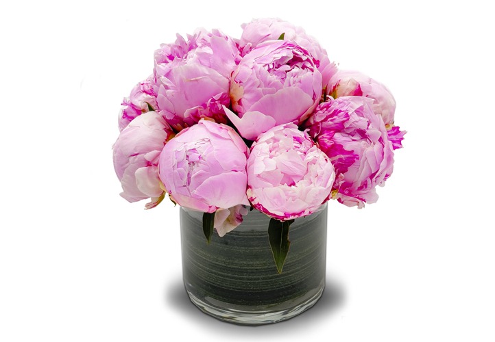 Wholesale Miami Flowers - Bulk Flowers Online - Flowers & Services