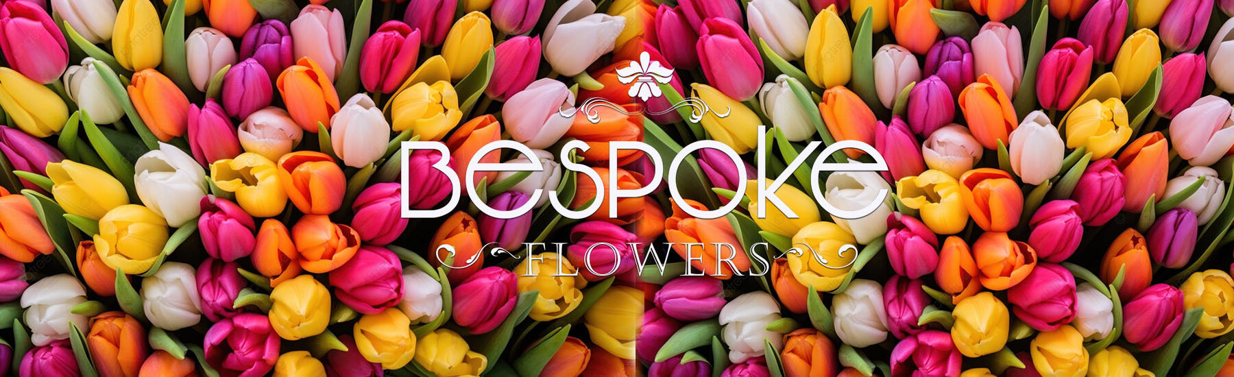 tulips slide tulips slide