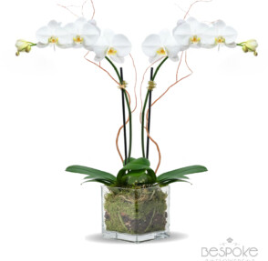 “Luxury flower delivery East Hampton NY”